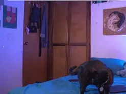 Smalltits sex cam