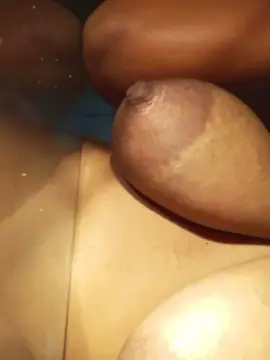 bia383