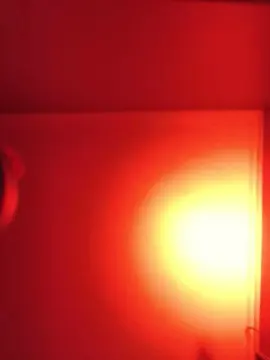Cam4 Free Porn Cam of jereklein24k