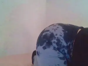xxxbebe283