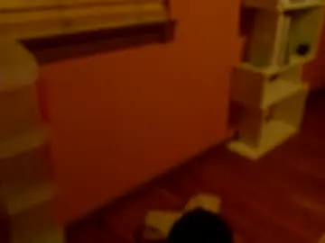 misskittyfox