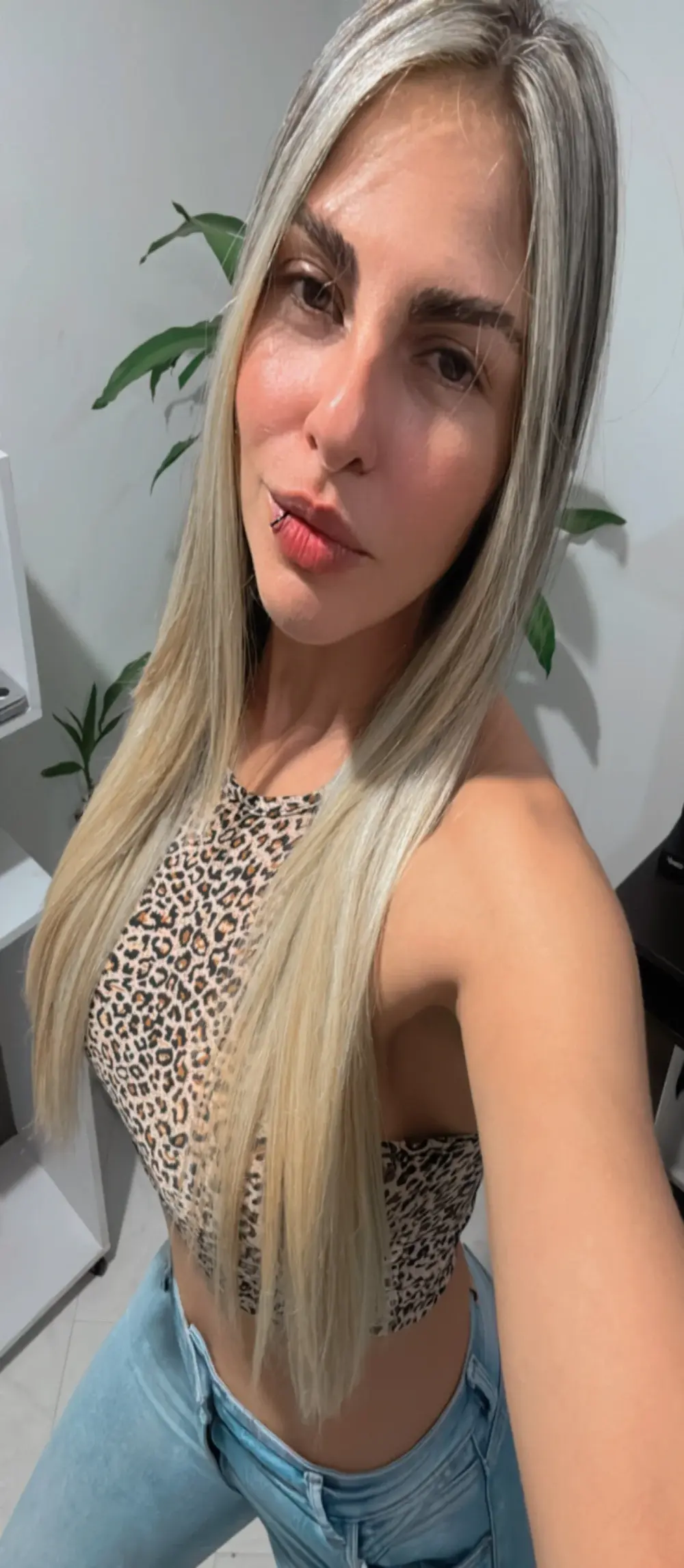 blonde_cat15