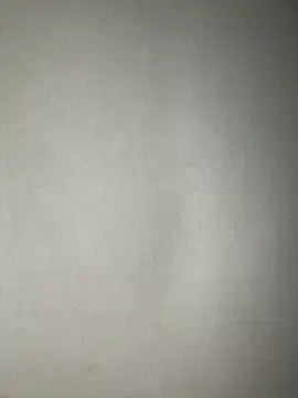 rin_15