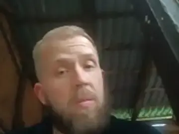 bardiauto