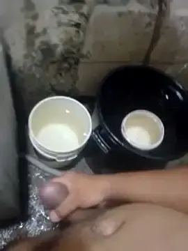 DariJor