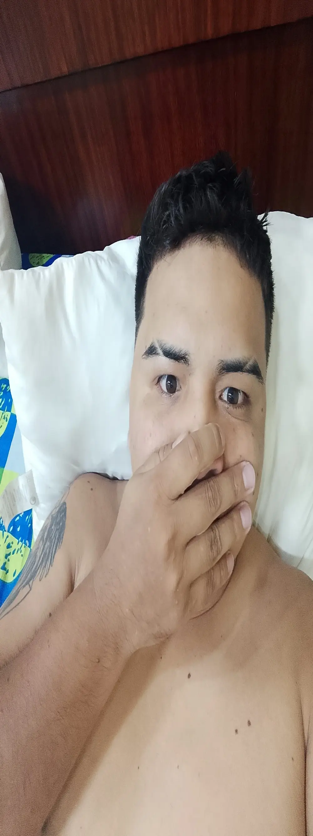 DariJor